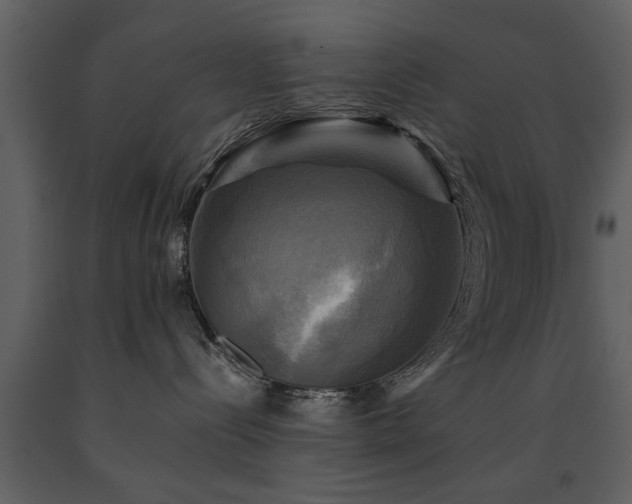 X0000091710288200708241254