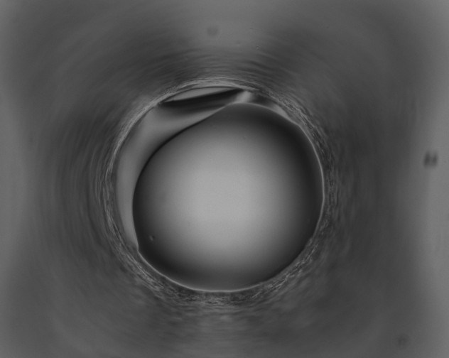 X0000091710289200708241253