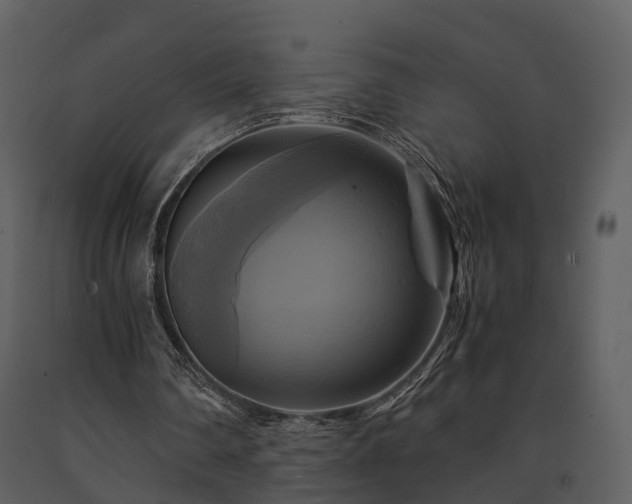 X0000091710290200708241253