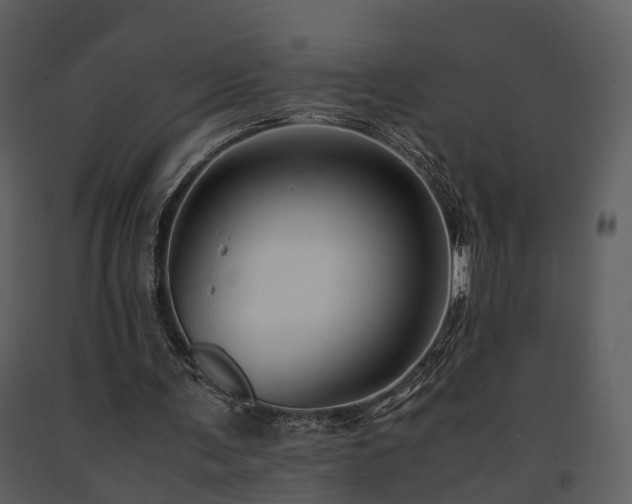 X0000091710291200708241253