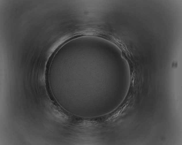 X0000091710292200708241253