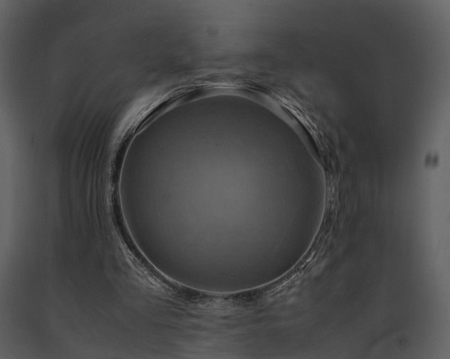 X0000091710293200708241253