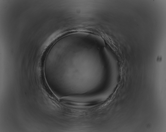 X0000091710295200708241253