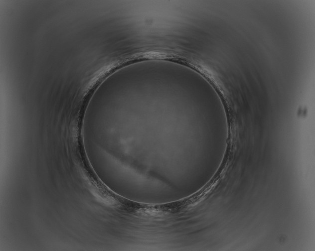 X0000091710297200708241253