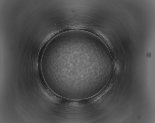 X0000091710298200708241253