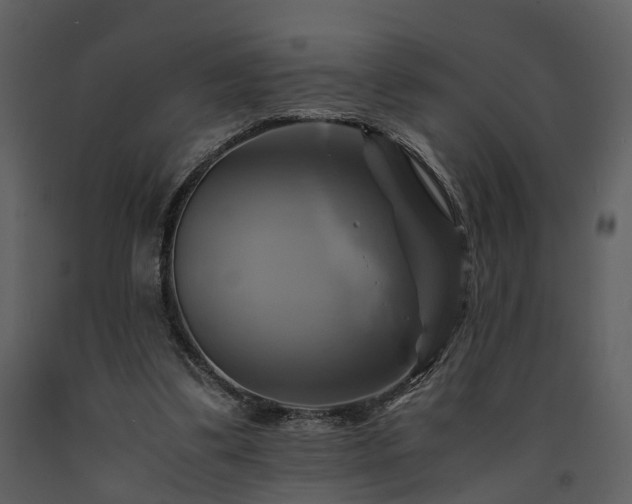 X0000091710299200708241253