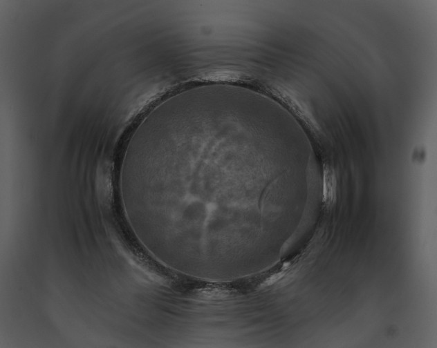 X0000091710300200708241253