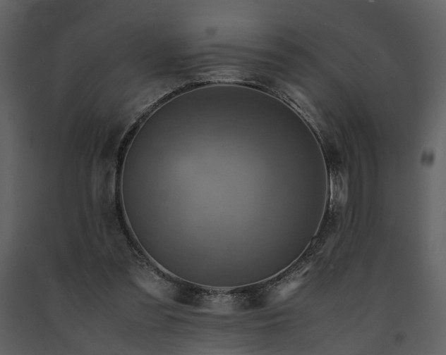 X0000091710301200708241253