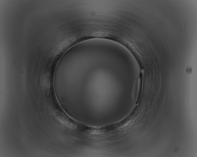 X0000091710303200708241253