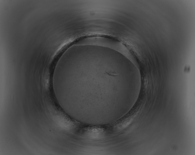 X0000091710304200708241253