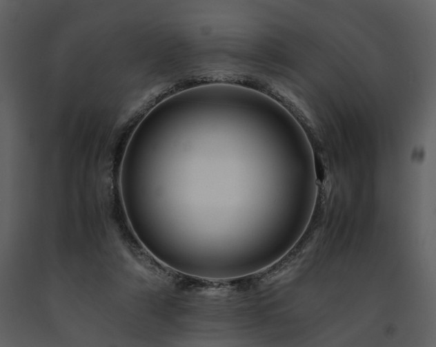 X0000091710306200708241253