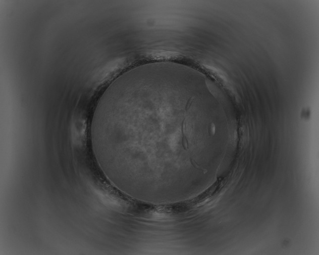 X0000091710308200708241253