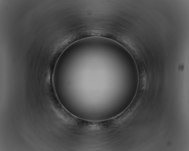 X0000091710310200708241253