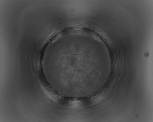 X0000091710312200708241253