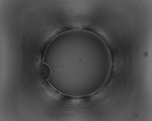 X0000091710314200708241253