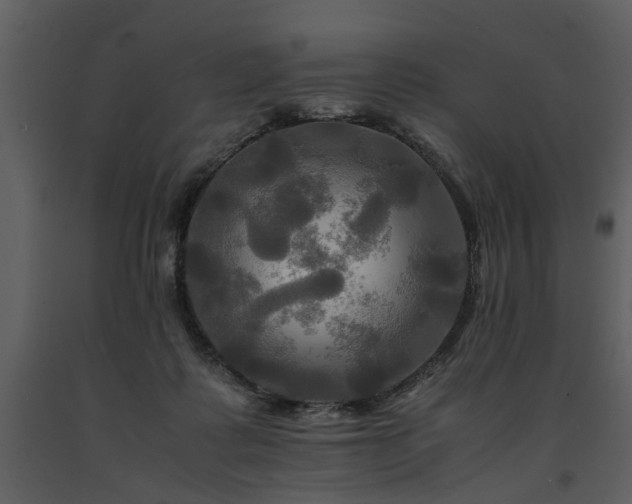 X0000091710315200708241253