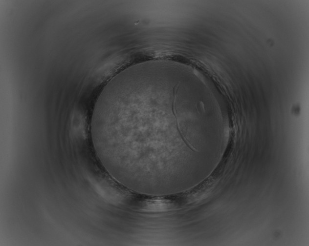 X0000091710316200708241253