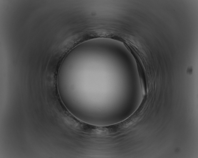 X0000091710317200708241253