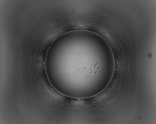 X0000091710318200708241253