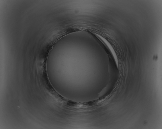 X0000091710319200708241253