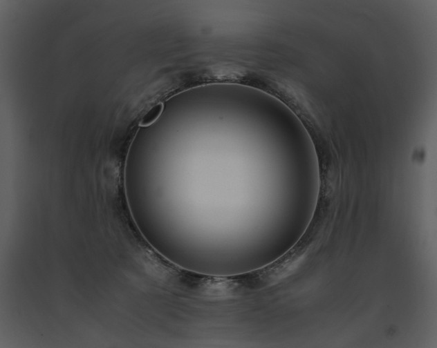 X0000091710321200708241253