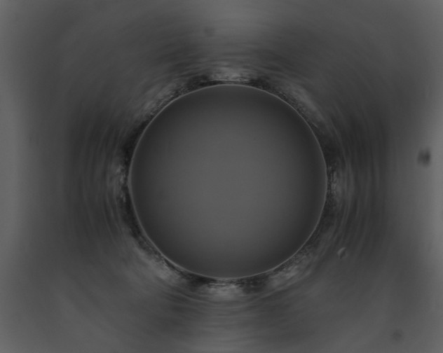 X0000091710322200708241253