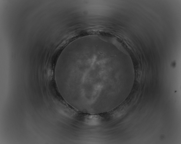 X0000091710324200708241253