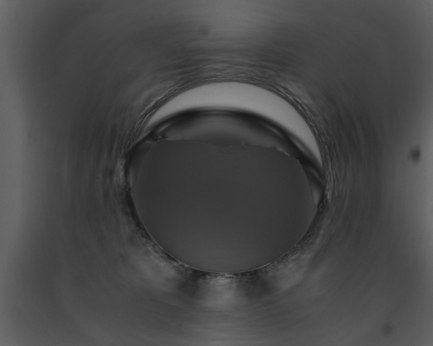 X0000091710325200708241253