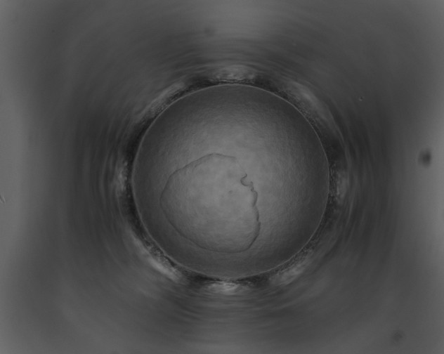 X0000091710326200708241253