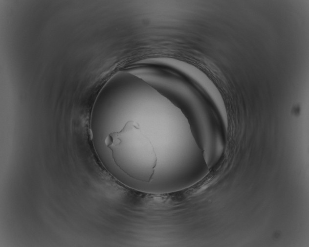 X0000091710329200708241253