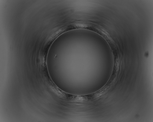 X0000091710330200708241253