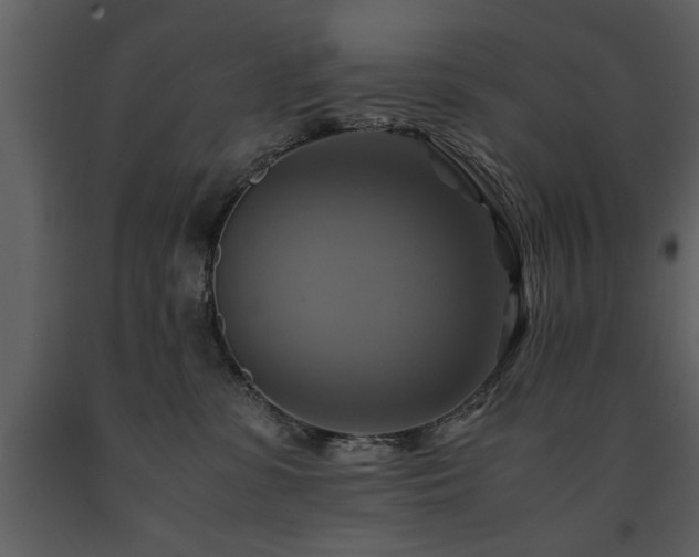 X0000091710331200708241253