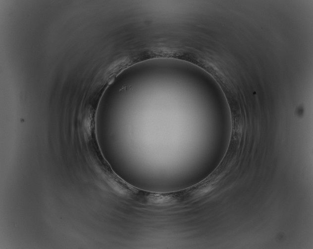 X0000091710334200708241253