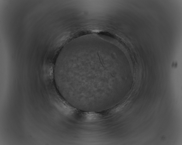 X0000091710336200708241253