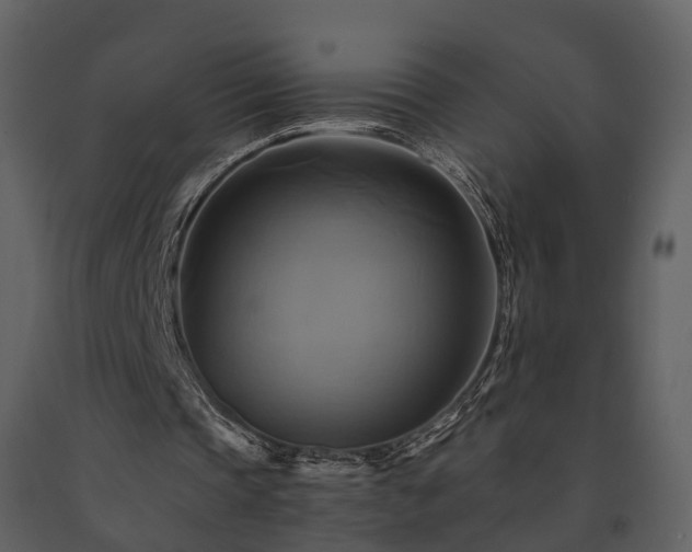 X0000091710337200708241252