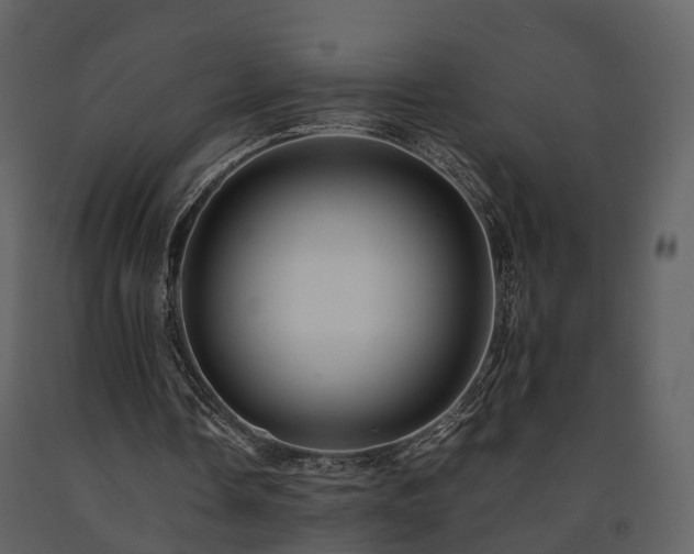 X0000091710338200708241252