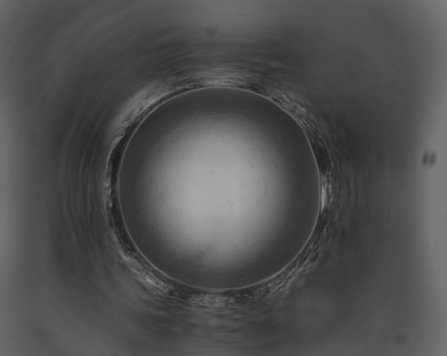 X0000091710339200708241252