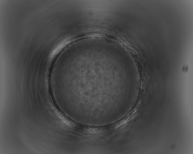 X0000091710341200708241252