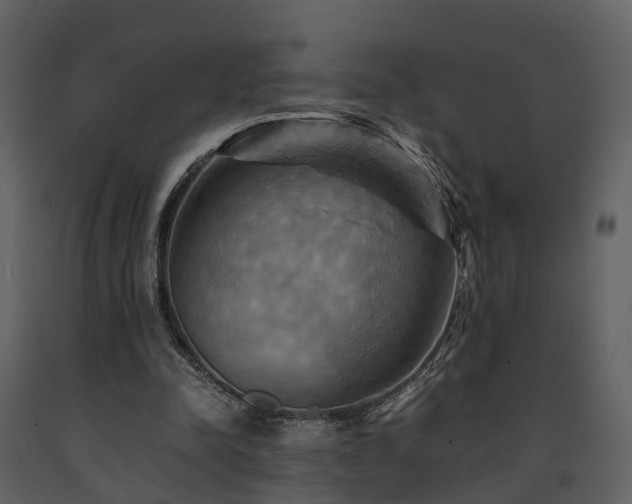 X0000091710342200708241252