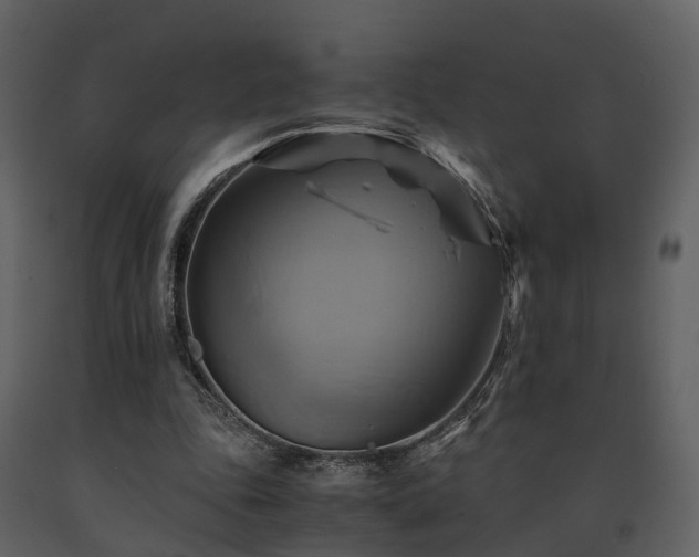 X0000091710343200708241252