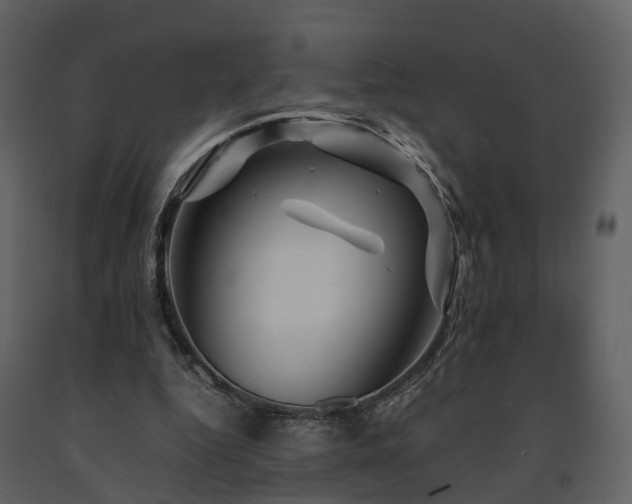 X0000091710344200708241252