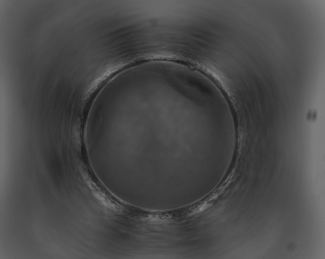 X0000091710345200708241252