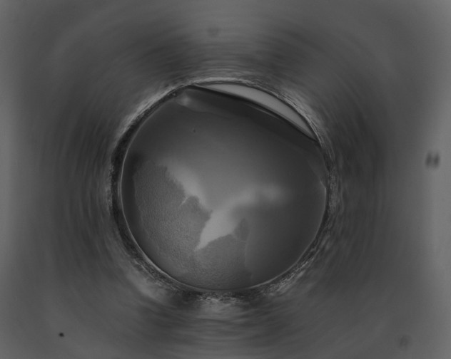 X0000091710346200708241252