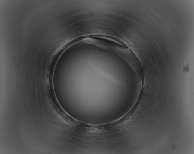 X0000091710347200708241252