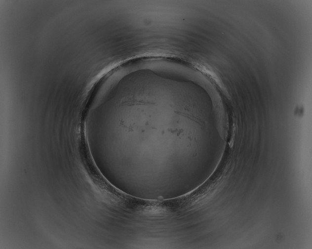 X0000091710348200708241252