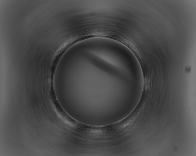 X0000091710349200708241252