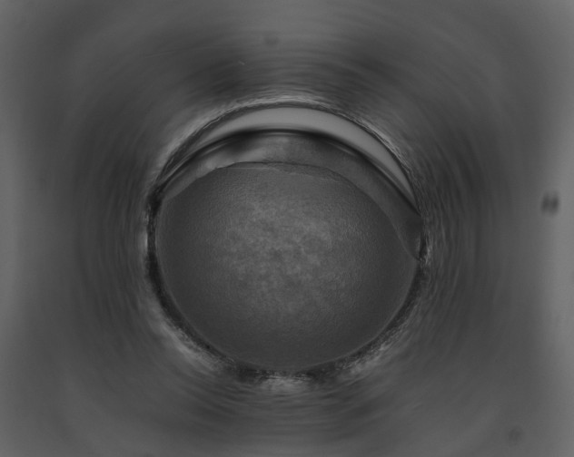 X0000091710350200708241252