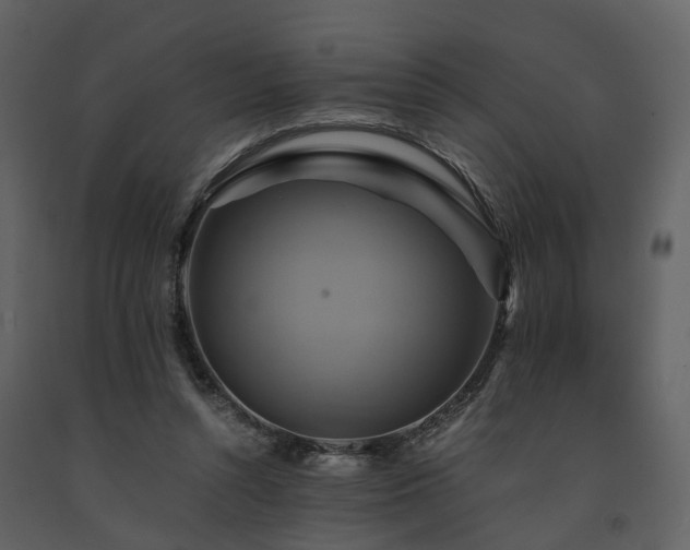 X0000091710352200708241252