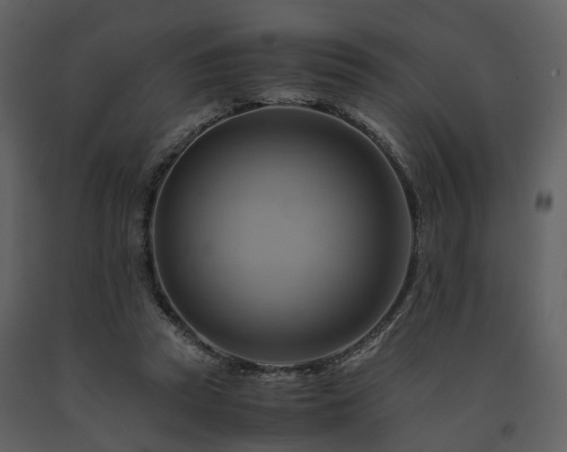 X0000091710353200708241252