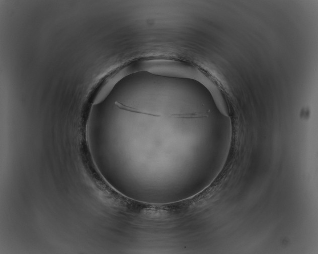 X0000091710354200708241252